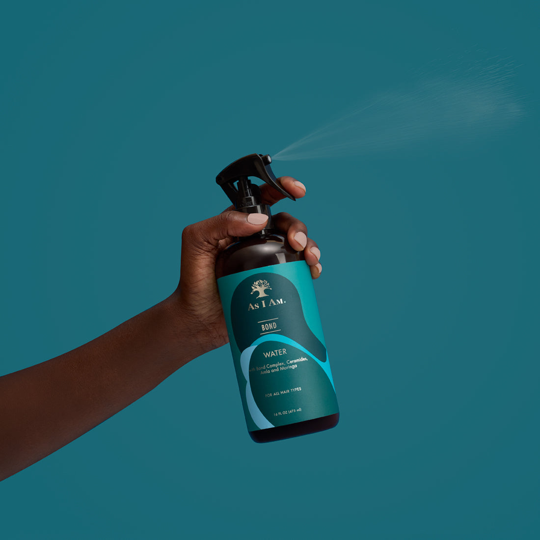 Type 4 Hair: Strength + Elasticity Repair